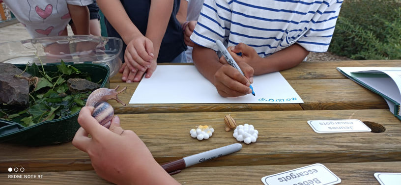 Landrecies Maroilles Nouvion Thiérache