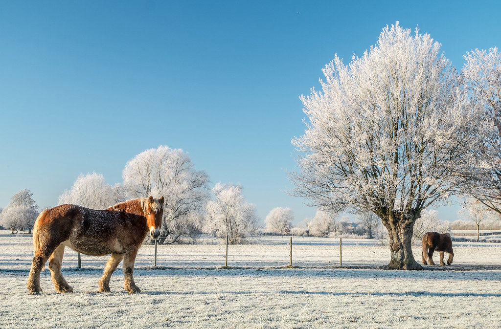 Le Favril Cateau Beaurepaire Sambre